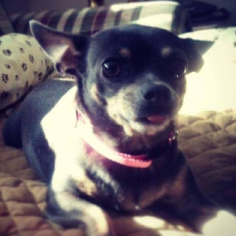 Meet your Posher, Alesa